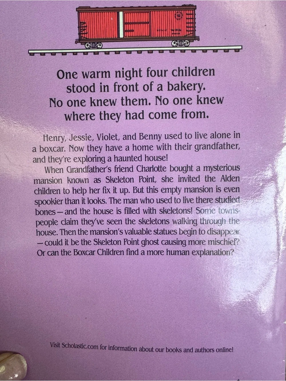 The Boxcar Children Mystery Puzzle - Pink Cover